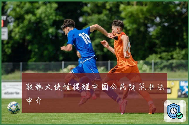 驻韩大使馆提醒中国公民防范非法中介